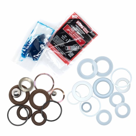 Bedford Precision Parts Bedford Precision Repair Kit for EPX2405, EPX2505 - Replacement for Titan/Wagner/Speeflo 0507923 20-3000